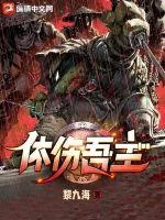 《休伤吾主》小说封面
