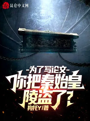 《为了写论文，你把秦始皇陵盗了？》小说封面