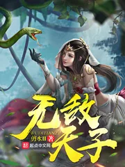 《无敌天子》小说封面