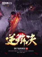 《逆鳞决》小说封面