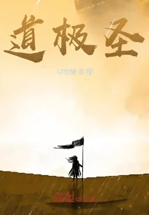 《道极圣》小说封面