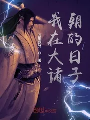 《我在大诸朝的日子》小说封面