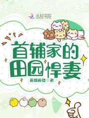《首辅家的田园悍妻》小说封面