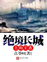 《绝境长城上的王者》小说封面