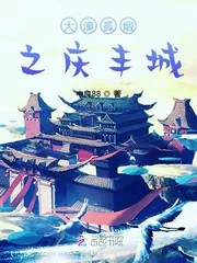 《大漠孤烟之庆丰城》小说封面