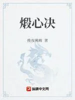 《煅心决》小说封面