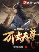 《成神录之万法天尊》小说封面