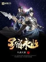 《星宿永恒》小说封面