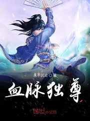 《血脉独尊》小说封面