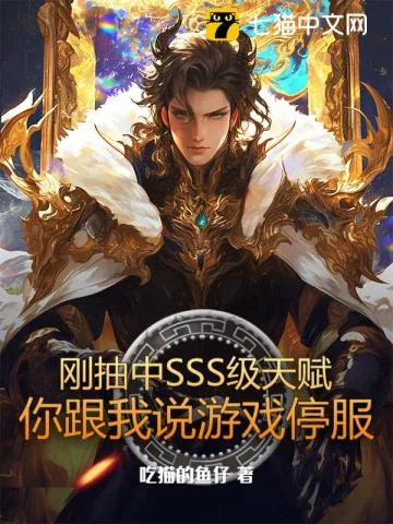 《刚抽中SSS级天赋，你跟我说游戏停服》小说封面