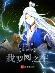 《斗罗之我罗网之主》小说封面