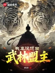 《我真没想当武林盟主》小说封面
