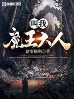 《叫我魔王大人》小说封面
