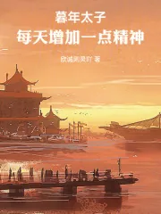 《暮年太子:每天增加一点精神》小说封面
