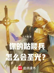 《你的骷髅兵怎么会圣光？》小说封面