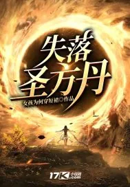 《失落圣方丹》小说封面