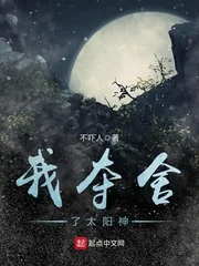 《我夺舍了太阳神》小说封面
