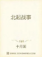 《北起战事》小说封面