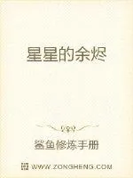 《星星的余烬》小说封面