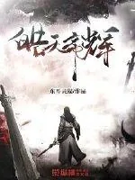 《皓天帝辉》小说封面