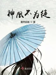 《神凰不为徒》小说封面