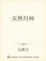 《天界丹神》小说封面