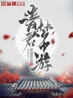 《请君梦中游》小说封面