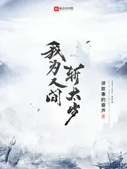 《我为人间斩太岁》小说封面