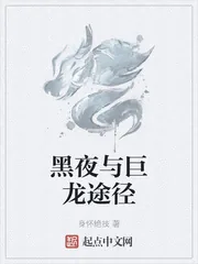 《黑夜与巨龙途径》小说封面