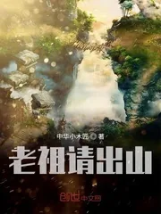 《老祖请出山》小说封面