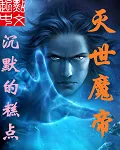 《灭世魔帝》小说封面