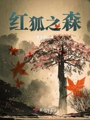 《红狐之森》小说封面