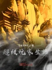 《超级玩家生活》小说封面