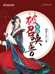 《被召唤兽攻略》小说封面