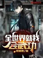 《全世界就我会武功》小说封面