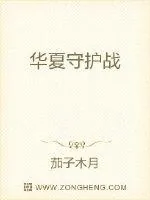 《华夏守护战》小说封面