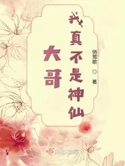 《大哥，我真不是神仙》小说封面