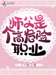 《师父是个高危险职业》小说封面