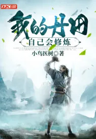 《我的丹田自己会修炼》小说封面