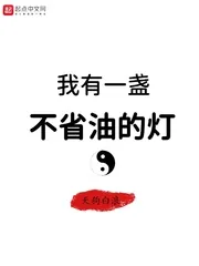 《我有一盏不省油的灯》小说封面