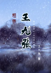 《相师王九张》小说封面