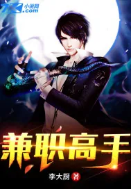 《兼职高手》小说封面