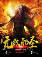 《无敌邪圣》小说封面