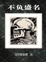 《不负盛名》小说封面