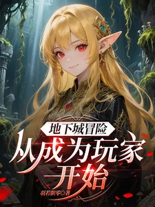 《地下城冒险：从成为玩家开始》小说封面