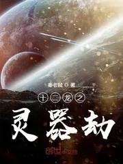 《十二龙之灵器劫》小说封面