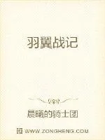 《羽翼战记》小说封面