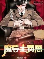 《魔导士费恩》小说封面