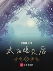 《太阳熄灭后的高武世界》小说封面