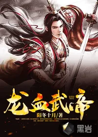 《龙血武帝》小说封面